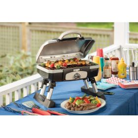 Desktop portable stainless steel gas grill